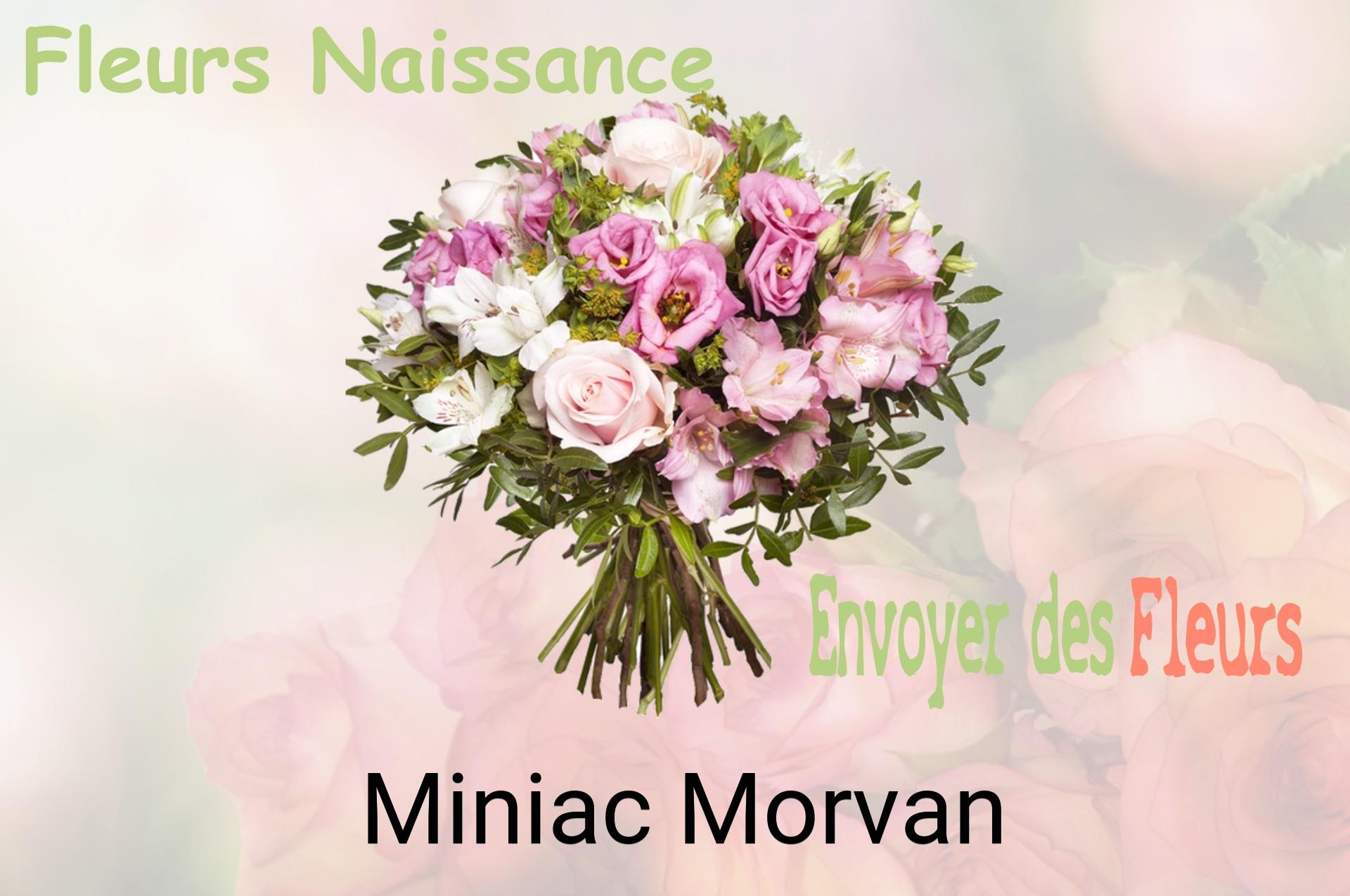 Bouquet de fleurs de naissance livré à Miniac-Morvan